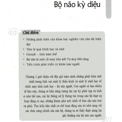 Sơ Đồ Tư Duy