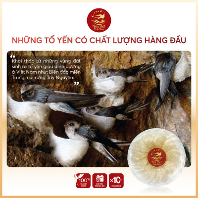 Tổ yến Tinh chế cao cấp 100 gram Yến Việt Tinh Hoa - Hàng chính hãng