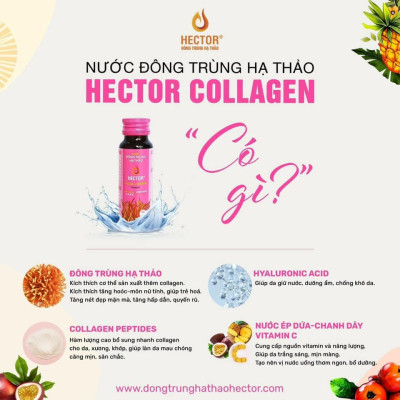 Combo 3 Hộp (30 Chai) Nước Đông Trùng Hạ Thảo Hector Collagen
