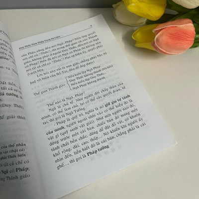 Sách - Duy Thức Tam Thập Tụng Dị Giản - Văn Thành Book