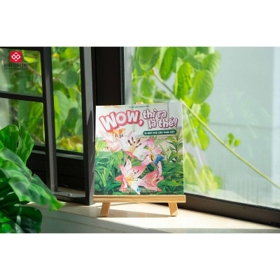 Sách - Wow, Thì Ra Là Thế - Đinh Tị Books