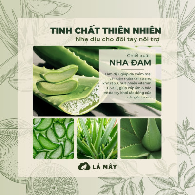 NƯỚC LAU ĐA NĂNG TÍA TÔ & NHA ĐAM LÁ MÂY 200 mL