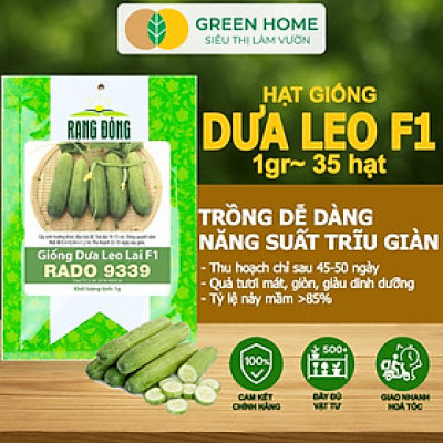 Hạt Giống Dưa Leo Greenhome, Gói 1gr~35 hạt, Dễ Trồng Quanh Năm, Nảy Mầm Cao, Thu Hoạch Nhanh, Năng Suất Cao T02