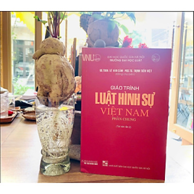 Sách - Giáo Trình Luật Hình Sự Việt Nam - Phần Chung Tái Bản Lần Thứ 2