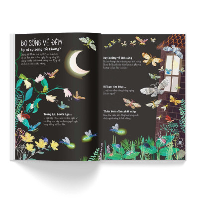 A Lê Hấp! Thế Giới Bọ