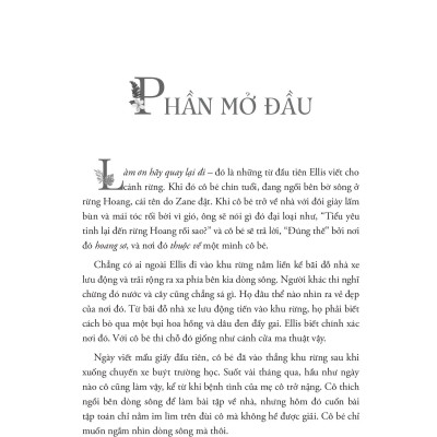 Nắng Xuyên Qua Vòm Lá