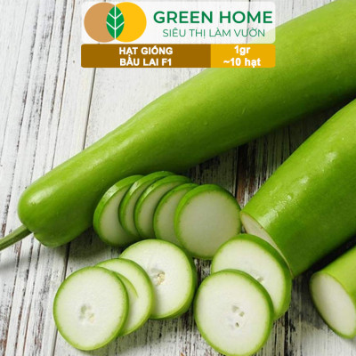 Hạt Giống Bầu Lai Greenhome, Gói 1gr~10 hạt, Dễ Trồng Quanh Năm, Nảy Mầm Cao, Thu Hoạch Nhanh, Năng Suất Cao T09