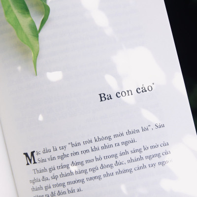Bình Nguyên Lộc. Rừng mắm