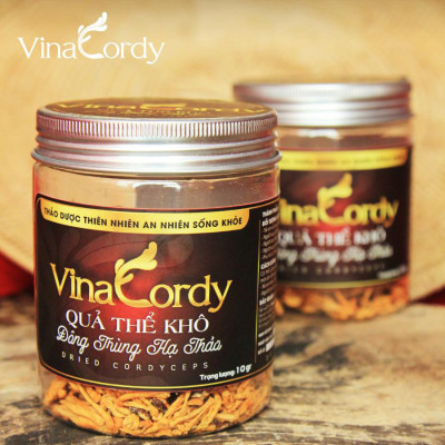 QUẢ THỂ KHÔ ĐÔNG TRÙNG HẠ THẢO VINACORDY-10G