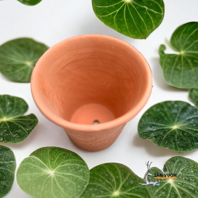 Chậu Gốm Đất Nung Vót Miệng Loe D15cm X H16cm