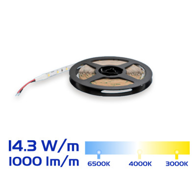 Đèn LED Dây Philips CertaFlux LEDFlex 5m - 500lm/m, 1000lm/m