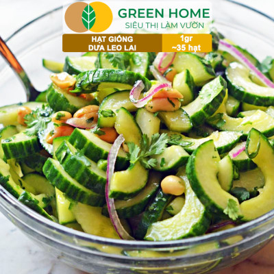 Hạt Giống Dưa Leo Greenhome, Gói 1gr~35 hạt, Dễ Trồng Quanh Năm, Nảy Mầm Cao, Thu Hoạch Nhanh, Năng Suất Cao T02