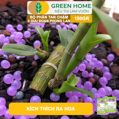 Bộ 3 Phân Tan Chậm Greenhome, Rynan 200-210-220 Chuyên Phong Lan 3 Giai Đoạn Dưỡng Cây Con, Kích Hoa, Sau Ra Hoa