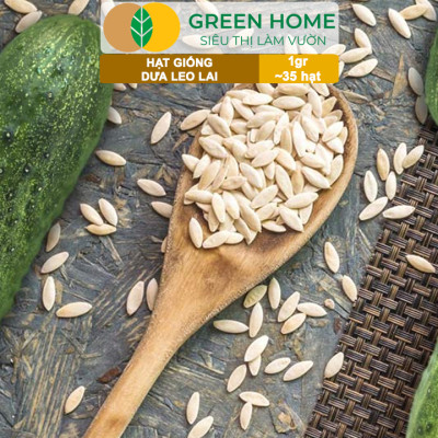 Hạt Giống Dưa Leo Greenhome, Gói 1gr~35 hạt, Dễ Trồng Quanh Năm, Nảy Mầm Cao, Thu Hoạch Nhanh, Năng Suất Cao T02