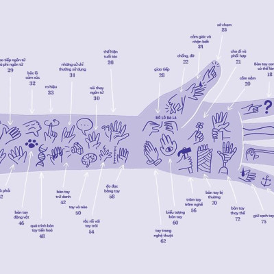 Tỏ Tường Tay Ta - Bách Khoa Toàn Thư Về Đôi Tay