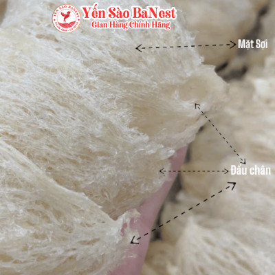 Bộ Quà Tặng 100g Tổ Yến Sào Cao Cấp dành BIẾU TẶNG Người Thân Đối Tác - Yến Sào BaNest