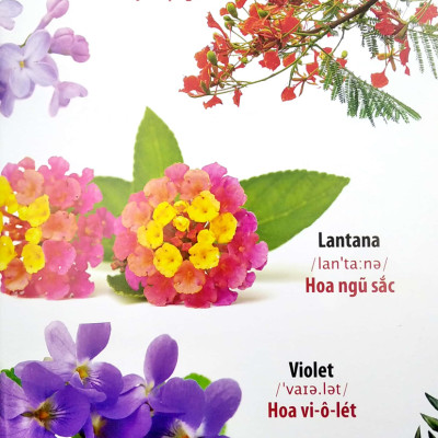 Sách-THƯ VIỆN HÌNH ẢNH SONG NGỮ ĐẦU TIÊN CỦA BÉ - HOA - RAU - CỦ - QUẢ_VT