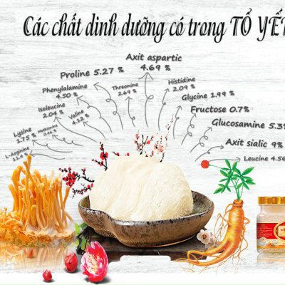 Combo 12 lọ Yến sào cao cấp win