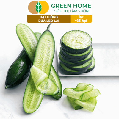 Hạt Giống Dưa Leo Greenhome, Gói 1gr~35 hạt, Dễ Trồng Quanh Năm, Nảy Mầm Cao, Thu Hoạch Nhanh, Năng Suất Cao T02