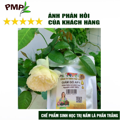 Giấm Gỗ Sinh Học APY PMP Chai 1000ml Kháng Đốm Lá, Đốm Đen, Vàng Lá, Phấn Trắng Cho Hoa Hồng, Rau Sạch, Lan, Cây Cảnh