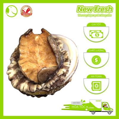 Bào Ngư Hàn Quốc Đông Lạnh - Túi 1Kg (8-10 con)