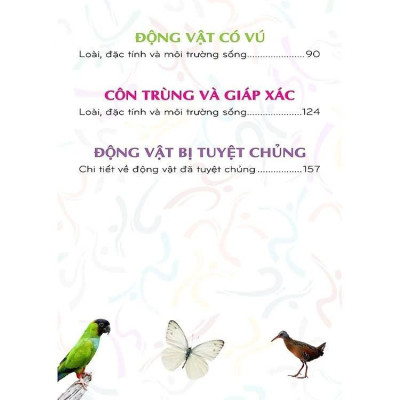 Sách - 500 Bách Khoa Tri Thức - Động Vật - Pegasus - VIETNAMBOOK