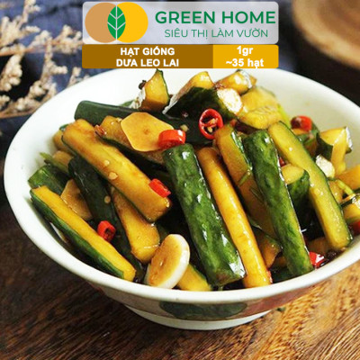 Hạt Giống Dưa Leo Greenhome, Gói 1gr~35 hạt, Dễ Trồng Quanh Năm, Nảy Mầm Cao, Thu Hoạch Nhanh, Năng Suất Cao T02