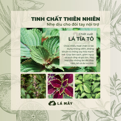 NƯỚC LAU ĐA NĂNG TÍA TÔ & NHA ĐAM LÁ MÂY 200 mL