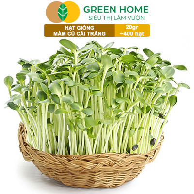 Hạt Giống Rau Cải Mầm Greenhome, Gói 20g~400 hạt, Dễ Trồng Quanh Năm, Nảy Mầm Cao, Thu Hoạch Nhanh, Năng Suất Cao R10