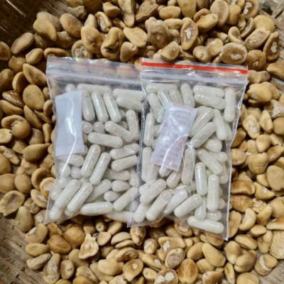 Hạt sang trắng rừng Tây Bắc viên nang hỗ trợ các vấn đề về dạ dày, bao tử như đại tràng,trào ngược dạ dày,ợ hơi,ợ chua,ăn uống khó tiêu,dạ dày khuẩn HP, hang vị - Mã số 1050