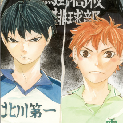 ハイキュー!!公式カラーイラスト集ハイカ JEISHI HAIKYUU ! ! KOUSHIKI KARA IRASUTO