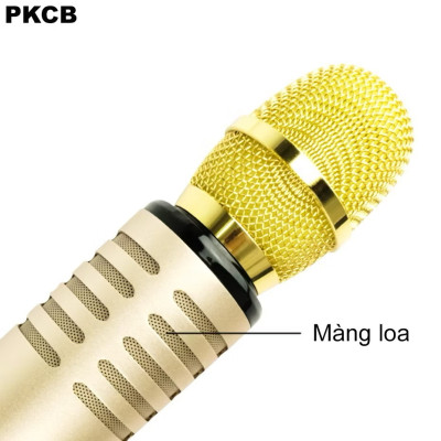 Micro Hát Karaoke Kết Nối Bluetooth Không Dây Âm Thanh Chân Thực Sống Động PKCB - Hàng Chính Hãng