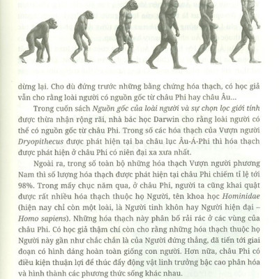 Hồ Sơ Mật - Con Người Siêu Nhiên