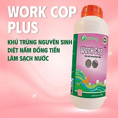 Khống chế nấm đồng tiền ao tôm WORK COP Plus