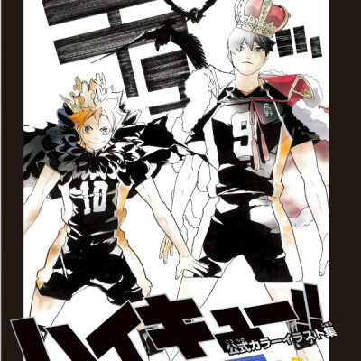 ハイキュー!!公式カラーイラスト集ハイカ JEISHI HAIKYUU ! ! KOUSHIKI KARA IRASUTO