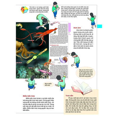 Bách Khoa Tri Thức Bằng Hình Cho Trẻ Em