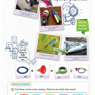 Global Stage Literacy Book And Language Book Level 2