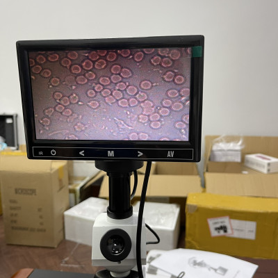 Kính hiển vi cao cấp xét nghiệm máu, soi vi khuẩn độ nét cao Terino XS11-LCD (100X-2000X) - Hàng chính hãng
