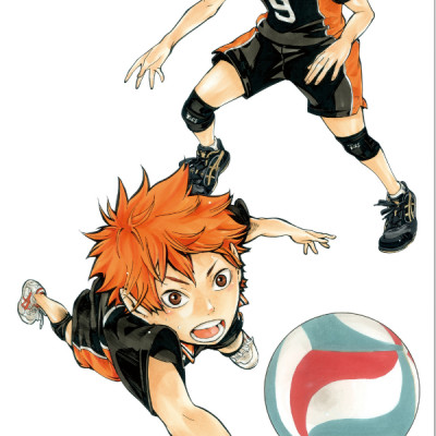 ハイキュー!!公式カラーイラスト集ハイカ JEISHI HAIKYUU ! ! KOUSHIKI KARA IRASUTO