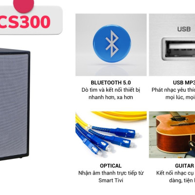 Dàn âm thanh di động xách tay ACNOS CS300