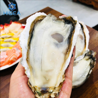 Hàu sữa Nhật Hyogo ( Size :9-10 con). - 1kg