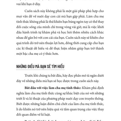 Cha Mẹ Tỉnh Thức - Các Chiến Lược Để Kết Nối Với Con - ML