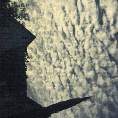 Sách Ngoại Văn - Violet Bent Backwards Over The Grass