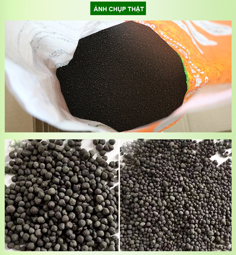 San Hô Vụn túi 1KG + Phân nền thủy sinh SMEKONG II 2KG giàu dinh dưỡng, trang trí bể cá, hồ cá