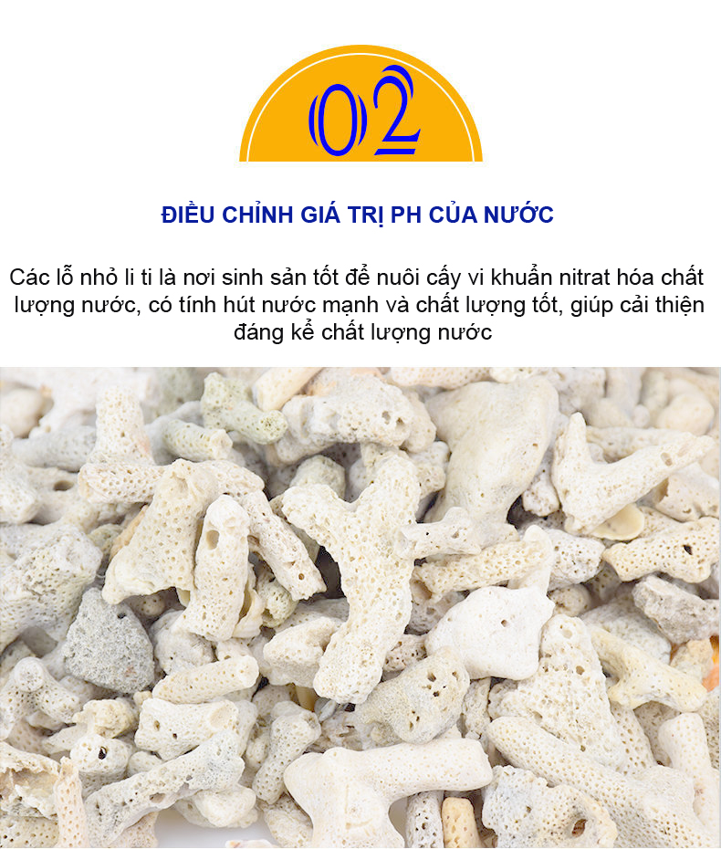San Hô Vụn túi 1KG + Phân nền thủy sinh SMEKONG II 2KG giàu dinh dưỡng, trang trí bể cá, hồ cá