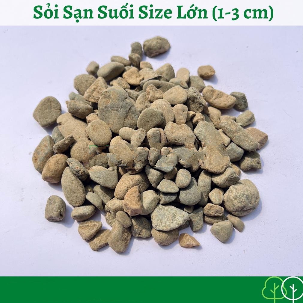 Sỏi Sạn Suối Thiên Nhiên | Sỏi Trải Nền Trang Trí Hồ Cá, Bể Thủy Sinh Hàng Siêu Đẹp