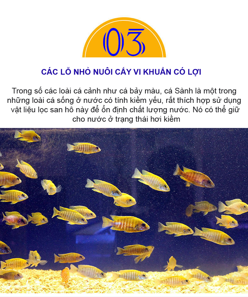 San Hô Vụn túi 1KG + Phân nền thủy sinh SMEKONG II 2KG giàu dinh dưỡng, trang trí bể cá, hồ cá