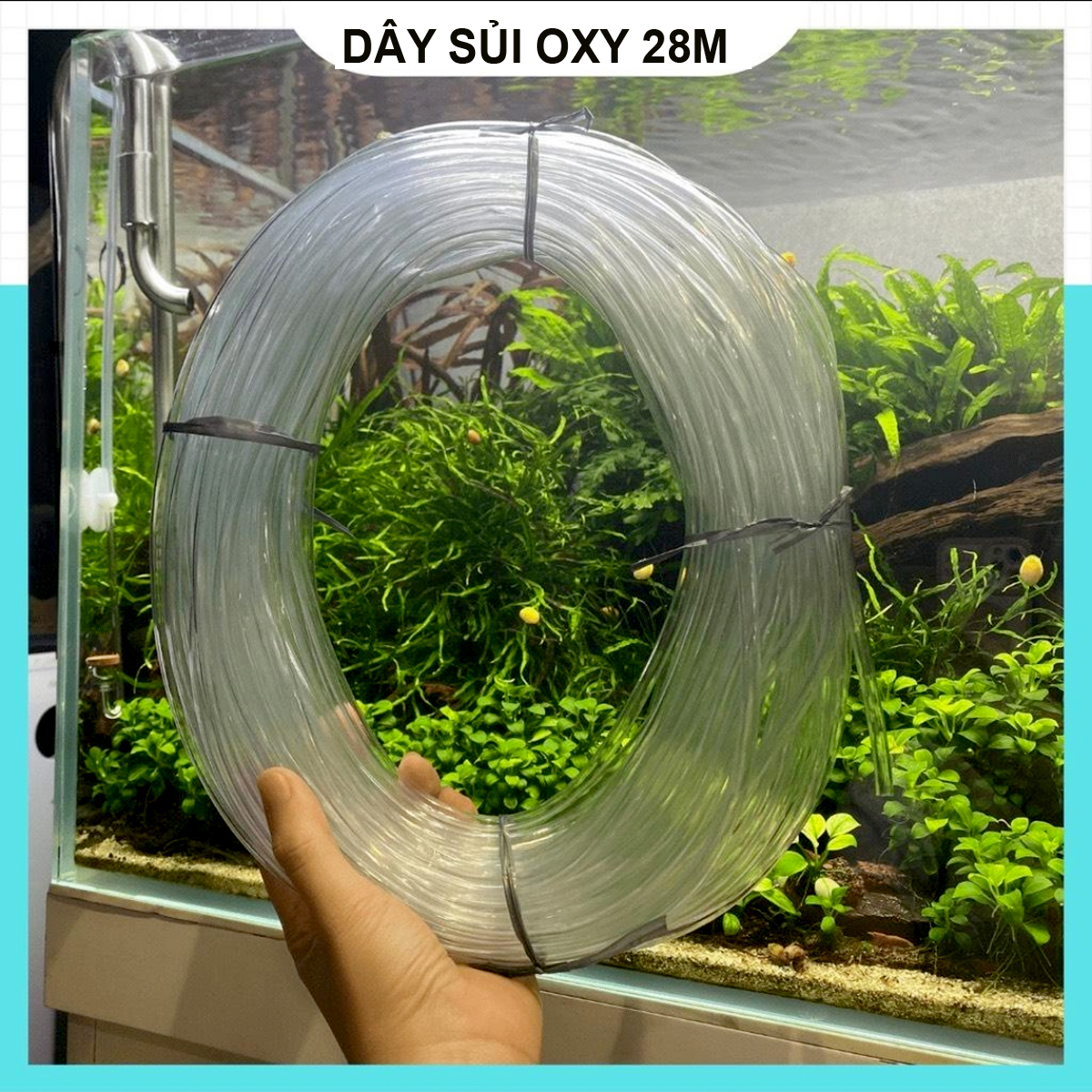 Dây Sủi Oxy, Dây Dẫn Khí CO2 Trong Suốt, Cho Hồ Cá Cảnh, Hồ Thủy Sinh dài 1m
