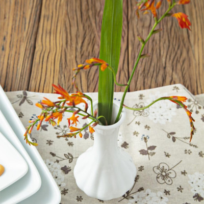 Lọ Hoa Sứ Trắng Hình Củ Tỏi - Lọ Hoa Mini - Sứ Long Phương