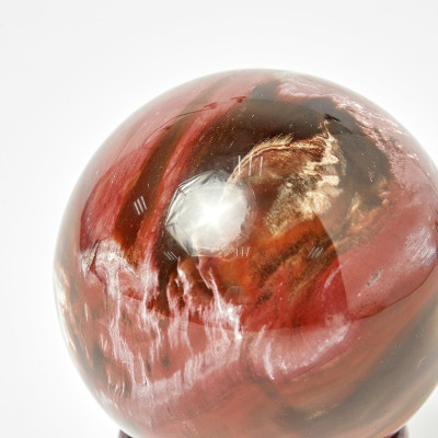Quả cầu phong thủy gỗ hóa thạch mệnh mệnh mộc, hỏa, thổ - Ngọc Quý Gemstones